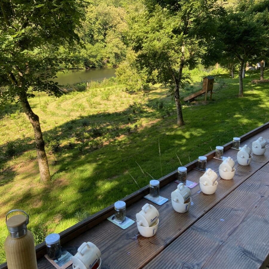 dégustation de thé en pleine air