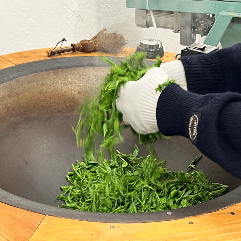 Flétrissement - Fixation au wok du thé vert
