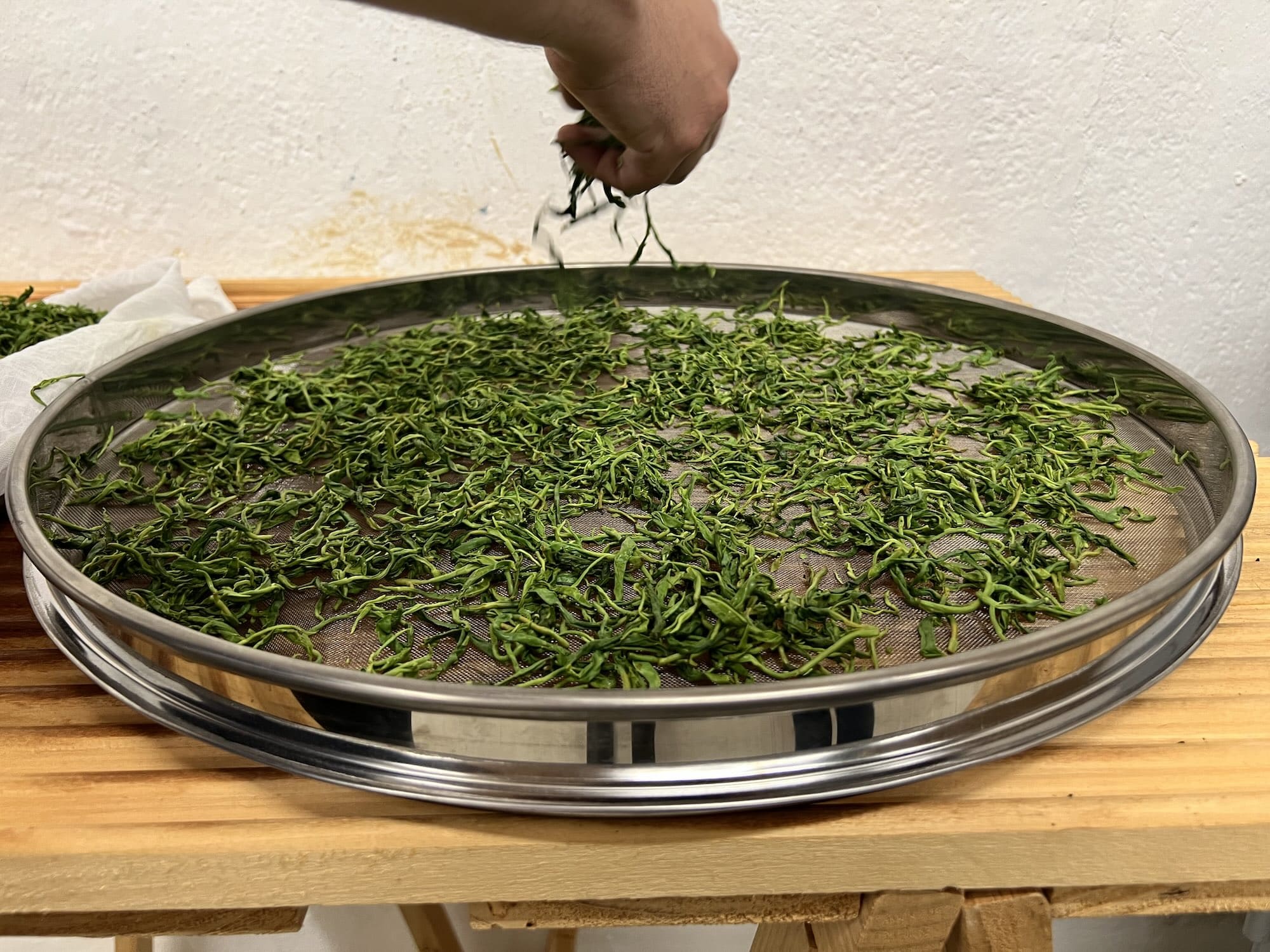 Transformation thé vert dans l'atelier Filleule des Fees en Bretagne