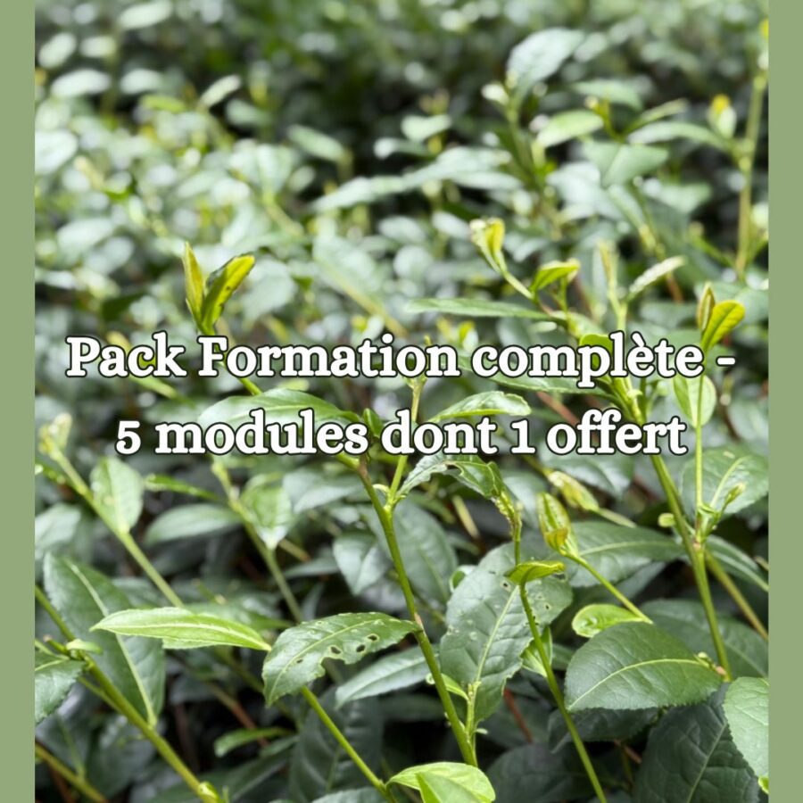 Pack Formation complète - 5 modules