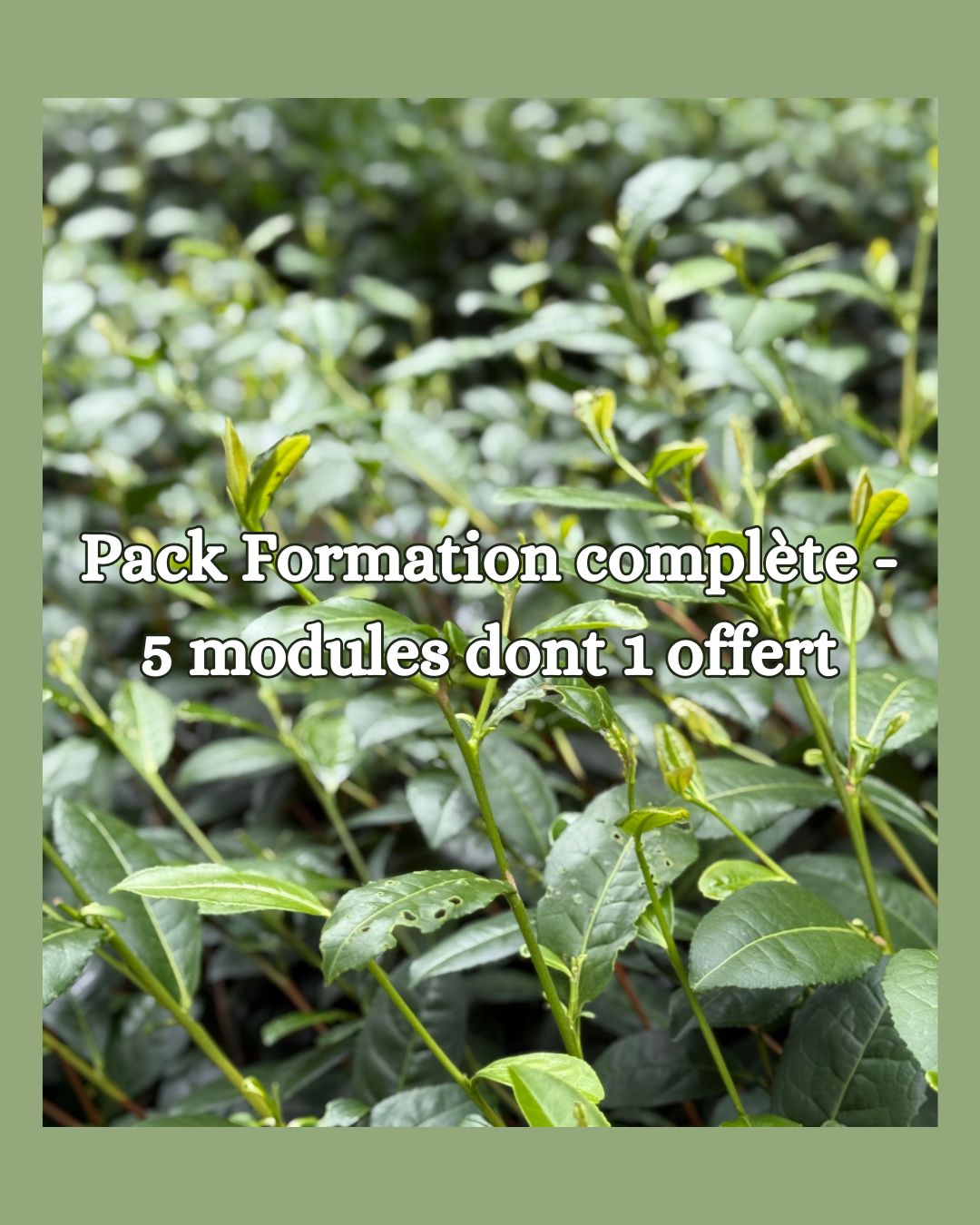 Pack Formation complète - 5 modules