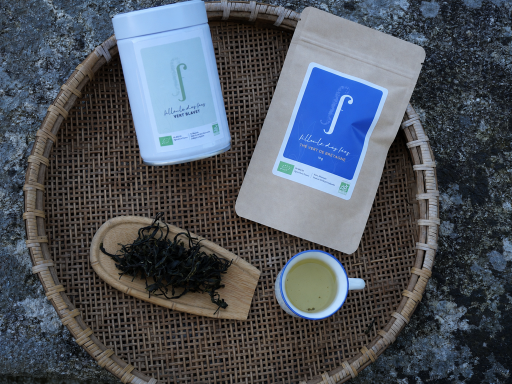 VERT BLAVET JIUKENG BIO - Thé vert de Bretagne