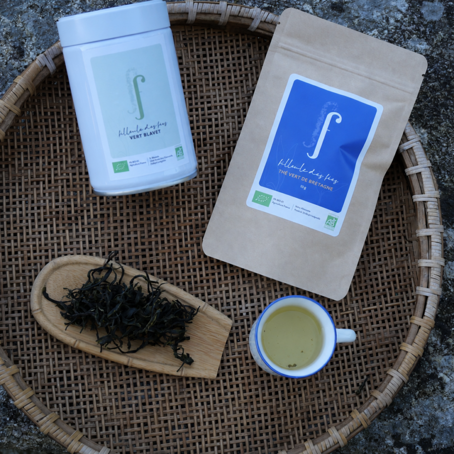 VERT BLAVET JIUKENG BIO - Thé vert de Bretagne