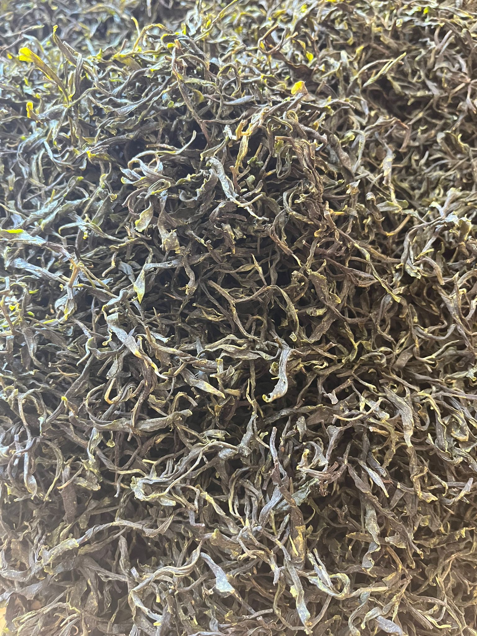 VERT BLAVET LONGJING 43 - Thé vert de Bretagne – Image 3