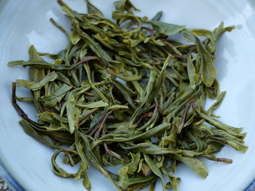 Feuilles de thé vert infusées dans un bol blanc