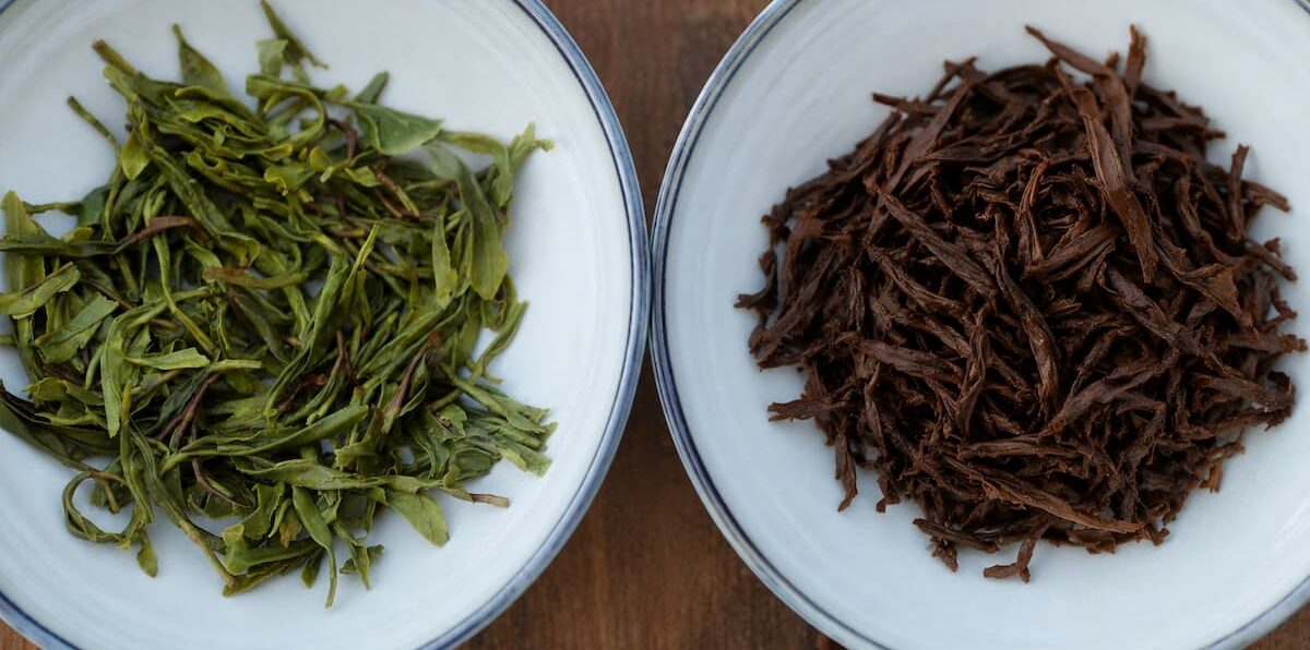 Comparaison entre des feuilles de thé vert et de thé noir infusées dans deux bols